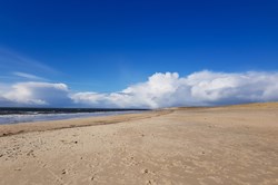 Hvidbjerg Strand nær Blåvand