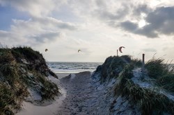 Drager på stranden ved Blåvand