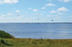 Surfere ved Hvide Sande