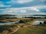 Vådområde med vindmøller i baggrunden - Himmerland, Nordjylland, Danmark